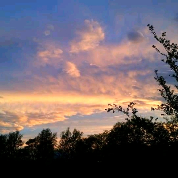 🌊 - Picture 2 of 3